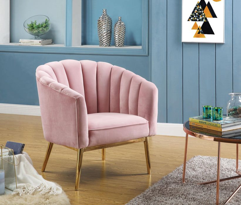 Colla Blush Pink Velvet & Gold Accent Chair - Olympia Furniture (Saint George, Utah)