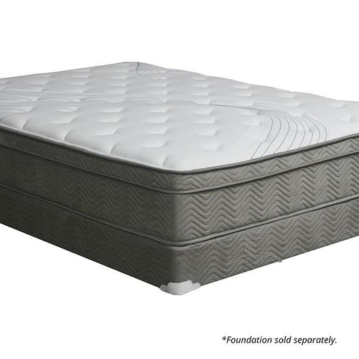 Afton 12 Euro Box Pocket Coil - Olympia Furniture (Saint George, Utah)