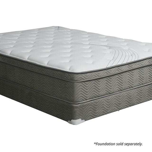 Afton 12 Euro Box Pocket Coil - Olympia Furniture (Saint George, Utah)