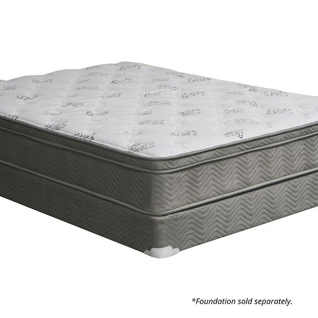 Aleksa 11 Euro Top Mattress (Non-Flip) - Olympia Furniture (Saint George, Utah)