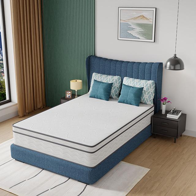 Catmint 12" Full Innerspring Mattress - Olympia Furniture (Saint George, Utah)