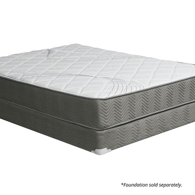 Edrea 10 Tight Top Pocket Coil - Olympia Furniture (Saint George, Utah)