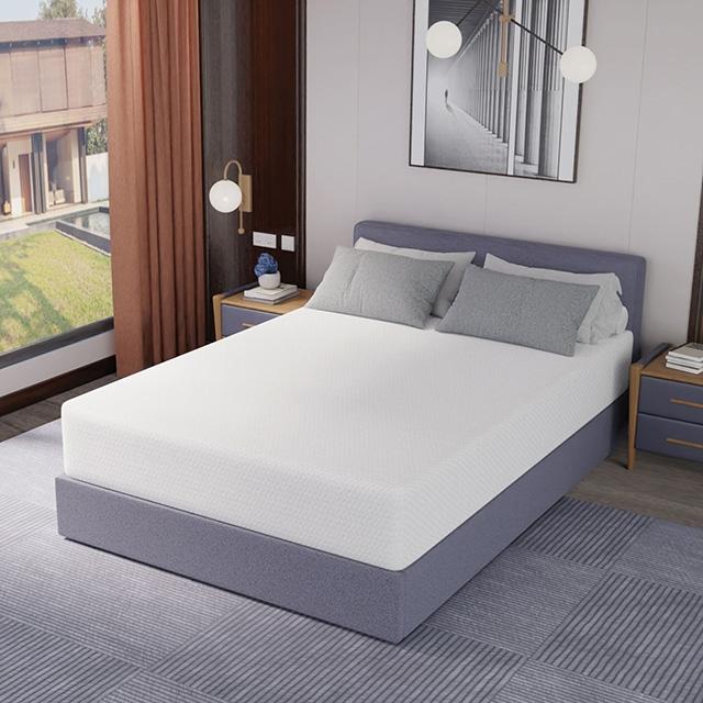 Forsythia 12" Queen Green Tea Gel Memory Foam - Olympia Furniture (Saint George, Utah)