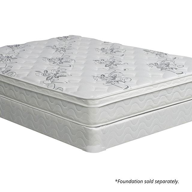 JALEN White 9" Euro Top Mattress, Cal.King - Olympia Furniture (Saint George, Utah)