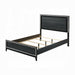 Haiden Queen Bed With Led - Olympia Furniture (Saint George, Utah)