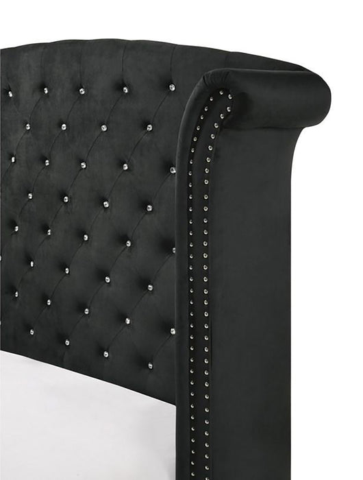 Crown Mark Furniture Lucinda Queen Upholstered Panel Bed in Black B9265-Q - Olympia Furniture (Saint George, Utah)