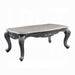 Ariadne Coffee Table - Olympia Furniture (Saint George, Utah)