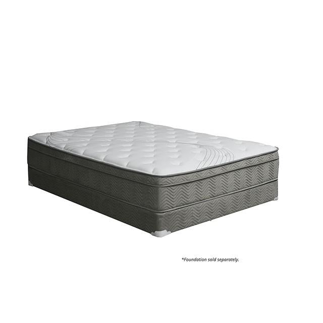 Afton 12 Euro Box Pocket Coil - Olympia Furniture (Saint George, Utah)