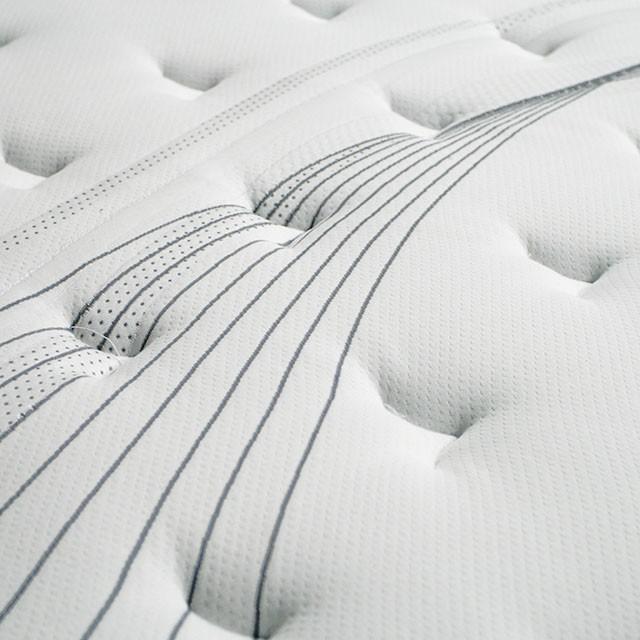 AFTON White/Gray 12" Euro Box Pocket Coil, Cal.King, E king, Full, & Queen - Olympia Furniture (Saint George, Utah)