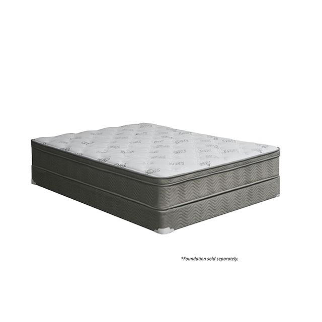 Aleksa 11 Euro Top Mattress (Non-Flip) - Olympia Furniture (Saint George, Utah)