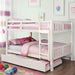 Cameron Dark Walnut, White & Gray Full/Full Bunk Bed - Olympia Furniture (Saint George, Utah)