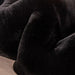 Caparica Black Throw, Black - Olympia Furniture (Saint George, Utah)