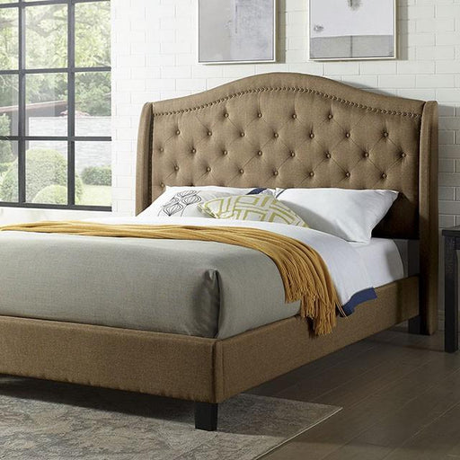 Carly Cal.King, E.King, Full, & Queen Bed Grey & Brown - Olympia Furniture (Saint George, Utah)