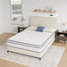 Catmint 10" Full Innerspring Mattress - Olympia Furniture (Saint George, Utah)