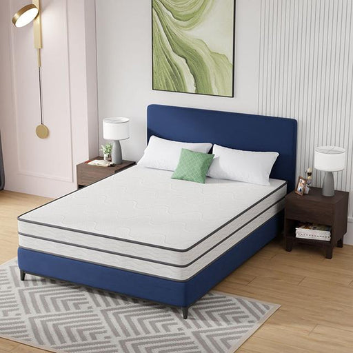 Catmint 10" Queen Innerspring Mattress - Olympia Furniture (Saint George, Utah)