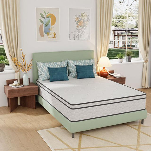 Catmint 12" Queen Innerspring Mattress - Olympia Furniture (Saint George, Utah)