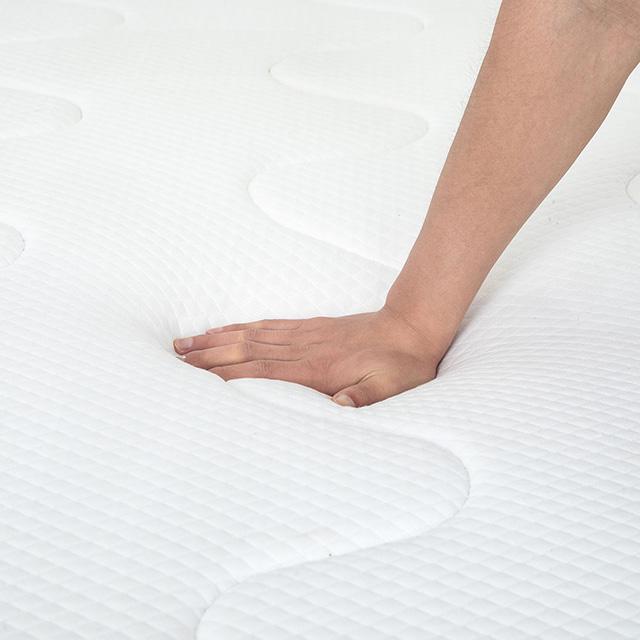 Catmint 12" Twin Innerspring Mattress - Olympia Furniture (Saint George, Utah)