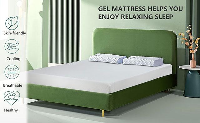 Artemisia 12" Memory Foam Mattress - Olympia Furniture (Saint George, Utah)