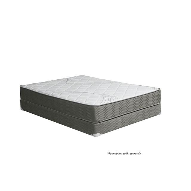 Edrea 10 Tight Top Pocket Coil - Olympia Furniture (Saint George, Utah)