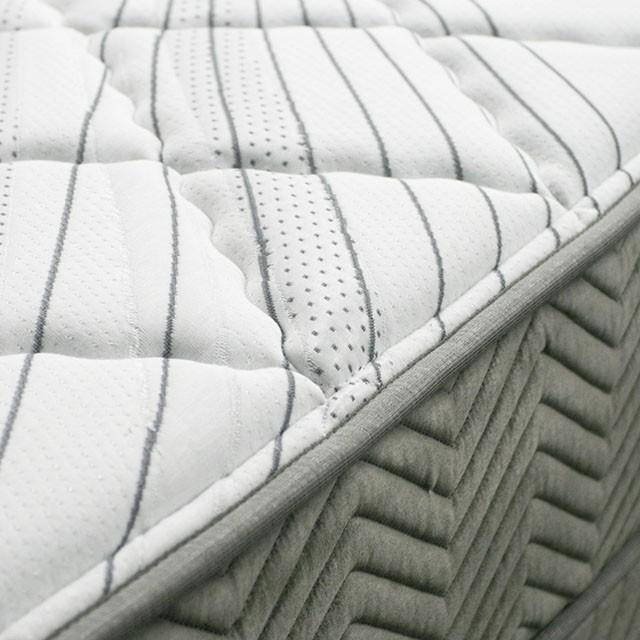 EDREA White/Gray 10" Tight Top Pocket Coil, Cal.King - Olympia Furniture (Saint George, Utah)