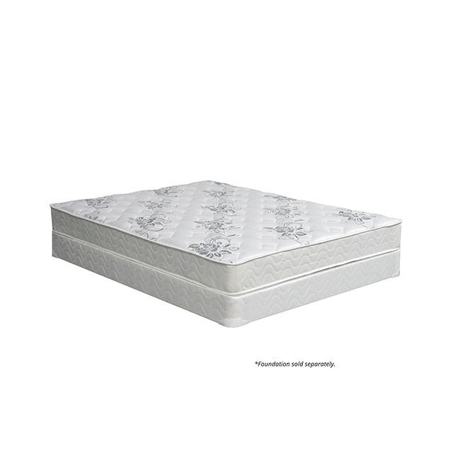 ELBERTYNA White 8" Tight Top Mattress, E.King - Olympia Furniture (Saint George, Utah)