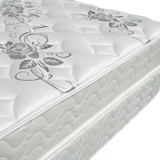Elbertyna 8 Tight Top Mattress (Non-Flip) - Olympia Furniture (Saint George, Utah)