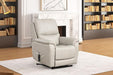 Ethelreda Lift Chair - Olympia Furniture (Saint George, Utah)
