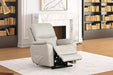 Ethelreda Lift Chair - Olympia Furniture (Saint George, Utah)