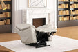 Ethelreda Lift Chair - Olympia Furniture (Saint George, Utah)
