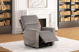 Ferdinandus Lift Chair - Olympia Furniture (Saint George, Utah)