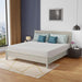 Coreopsis 10" E.King Memory Foam Wave Comfort - Olympia Furniture (Saint George, Utah)