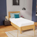 Coreopsis 10" Twin Memory Foam Wave Comfort - Olympia Furniture (Saint George, Utah)