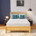 Coreopsis 12" Full Memory Foam Wave Comfort - Olympia Furniture (Saint George, Utah)