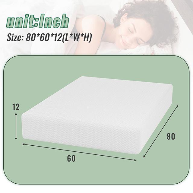 Coreopsis 12" Queen Memory Foam Wave Comfort - Olympia Furniture (Saint George, Utah)