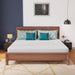 Coreopsis 8" E.King Memory Foam Wave Comfort - Olympia Furniture (Saint George, Utah)