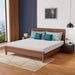 Coreopsis 8" E.King Memory Foam Wave Comfort - Olympia Furniture (Saint George, Utah)