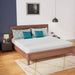 Coreopsis 8" E.King Memory Foam Wave Comfort - Olympia Furniture (Saint George, Utah)