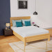 Coreopsis 8" Full Memory Foam Wave Comfort - Olympia Furniture (Saint George, Utah)