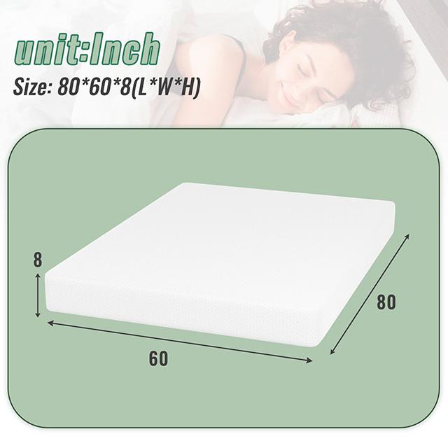 Coreopsis 8" Memory Foam Wave Comfort