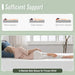 Coreopsis 8" E.King Memory Foam Wave Comfort - Olympia Furniture (Saint George, Utah)