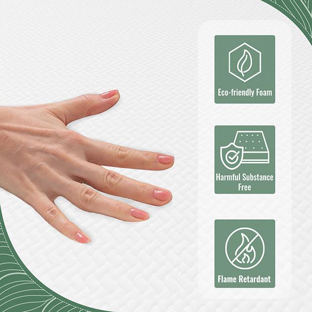 Coreopsis 8" Queen Memory Foam Wave Comfort - Olympia Furniture (Saint George, Utah)