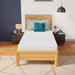 Coreopsis 8" Twin Memory Foam Wave Comfort - Olympia Furniture (Saint George, Utah)