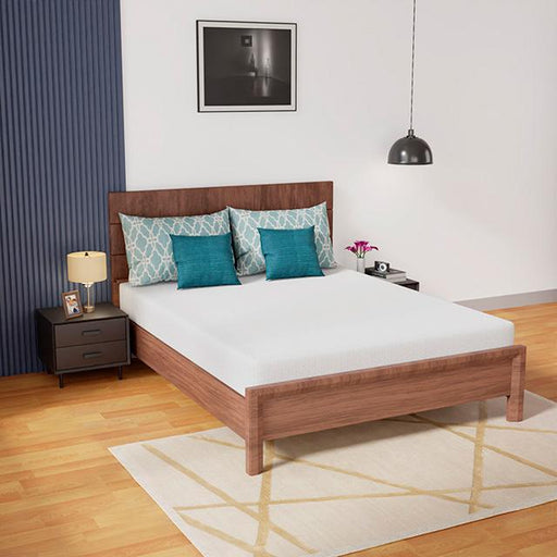 Coreopsis 8" Queen Memory Foam Wave Comfort - Olympia Furniture (Saint George, Utah)