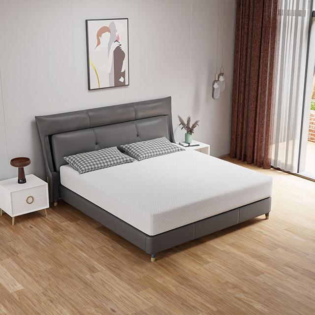 Forsythia 10" Queen Green Tea Gel Memory Foam - Olympia Furniture (Saint George, Utah)