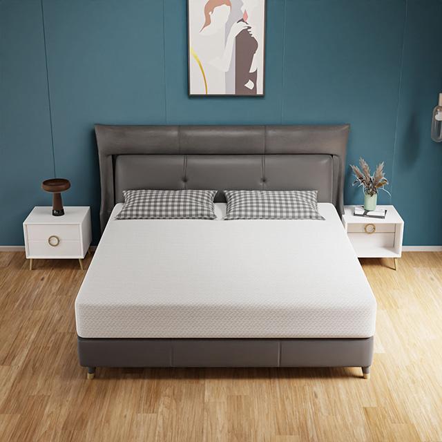 Forsythia 10" Queen Green Tea Gel Memory Foam - Olympia Furniture (Saint George, Utah)