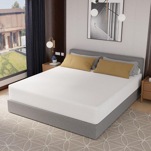 Forsythia 12" Green Tea Gel Memory Foam