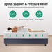 Forsythia 12" Queen Green Tea Gel Memory Foam - Olympia Furniture (Saint George, Utah)