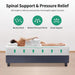 Forsythia Mattress - Olympia Furniture (Saint George, Utah)