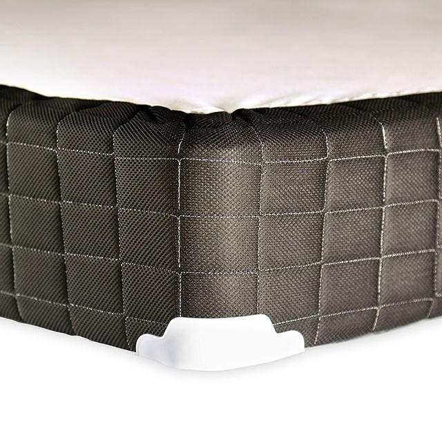 Grey Foundation, E.King, 2CTN - Olympia Furniture (Saint George, Utah)