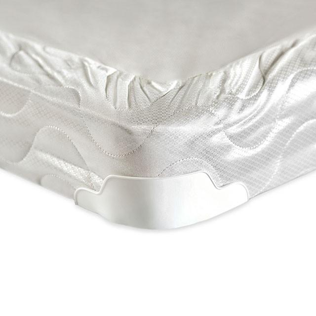 Bird Of Paradise 4" Queen-Size Foundation - Olympia Furniture (Saint George, Utah)